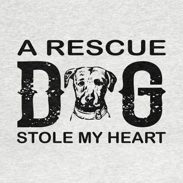 A Rescue Dog Stole My Heart by Be Awesome 
